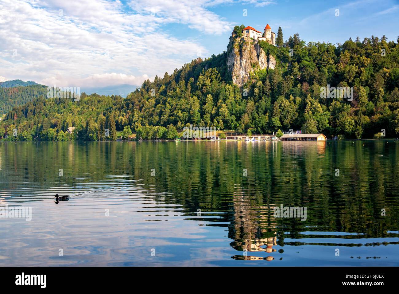 View of Lake Bled and Bled Castle in Slovenia Stock Photo