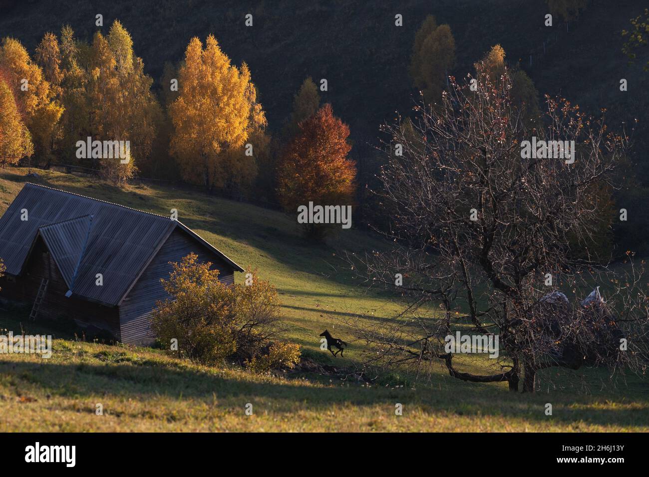 Mountain rural landscape with autumn colors In Brasov county, Romania Stock Photo