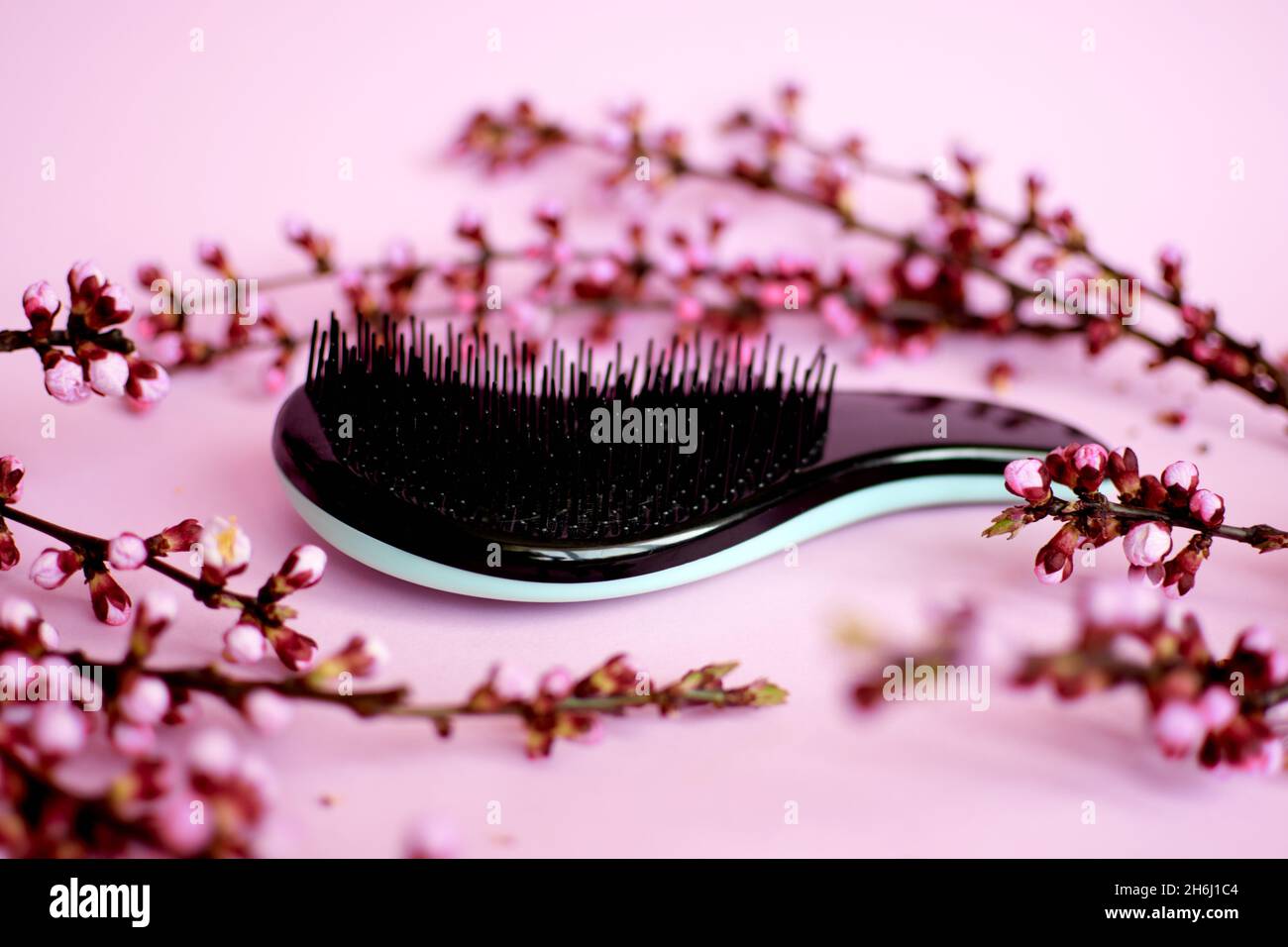 Plastic hairbrush hi-res stock photography and images - Alamy