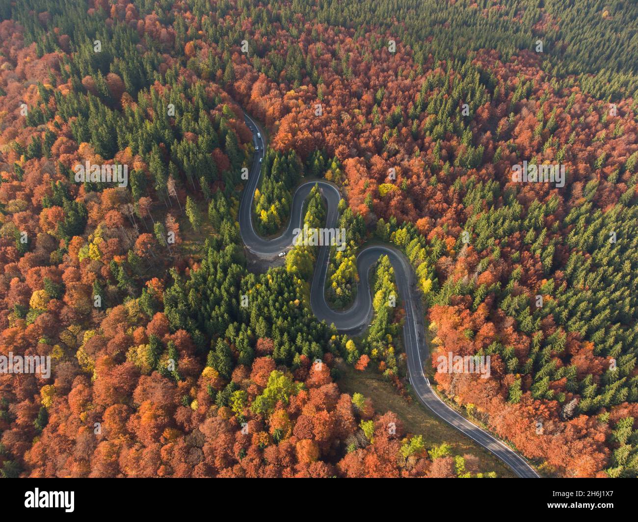 Aerial view of the mountain road in a beautiful pine and deciduous forest Stock Photo