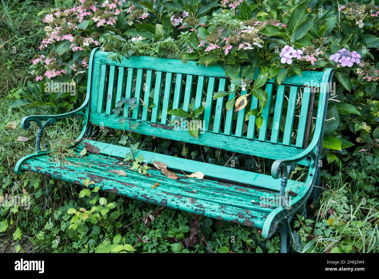 Green painted garden bench in decay Stock Photo