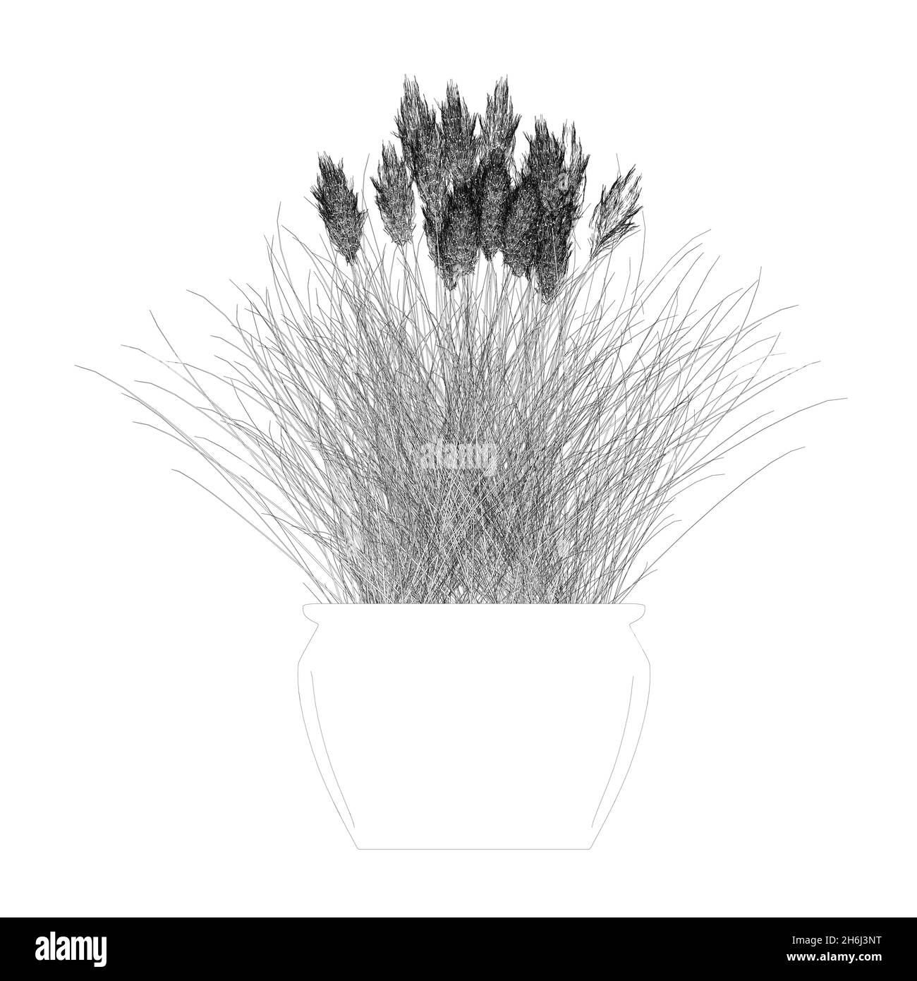 Contour of flowers in a vase of black lines isolated on white background. Front view. Vector illustration Stock Vector