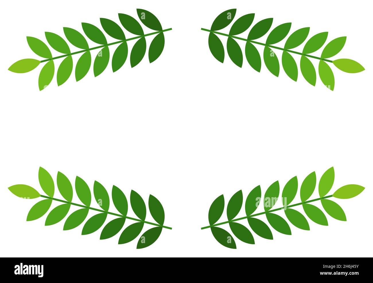 Green leaves border. Vector illustration Stock Vector Image & Art - Alamy