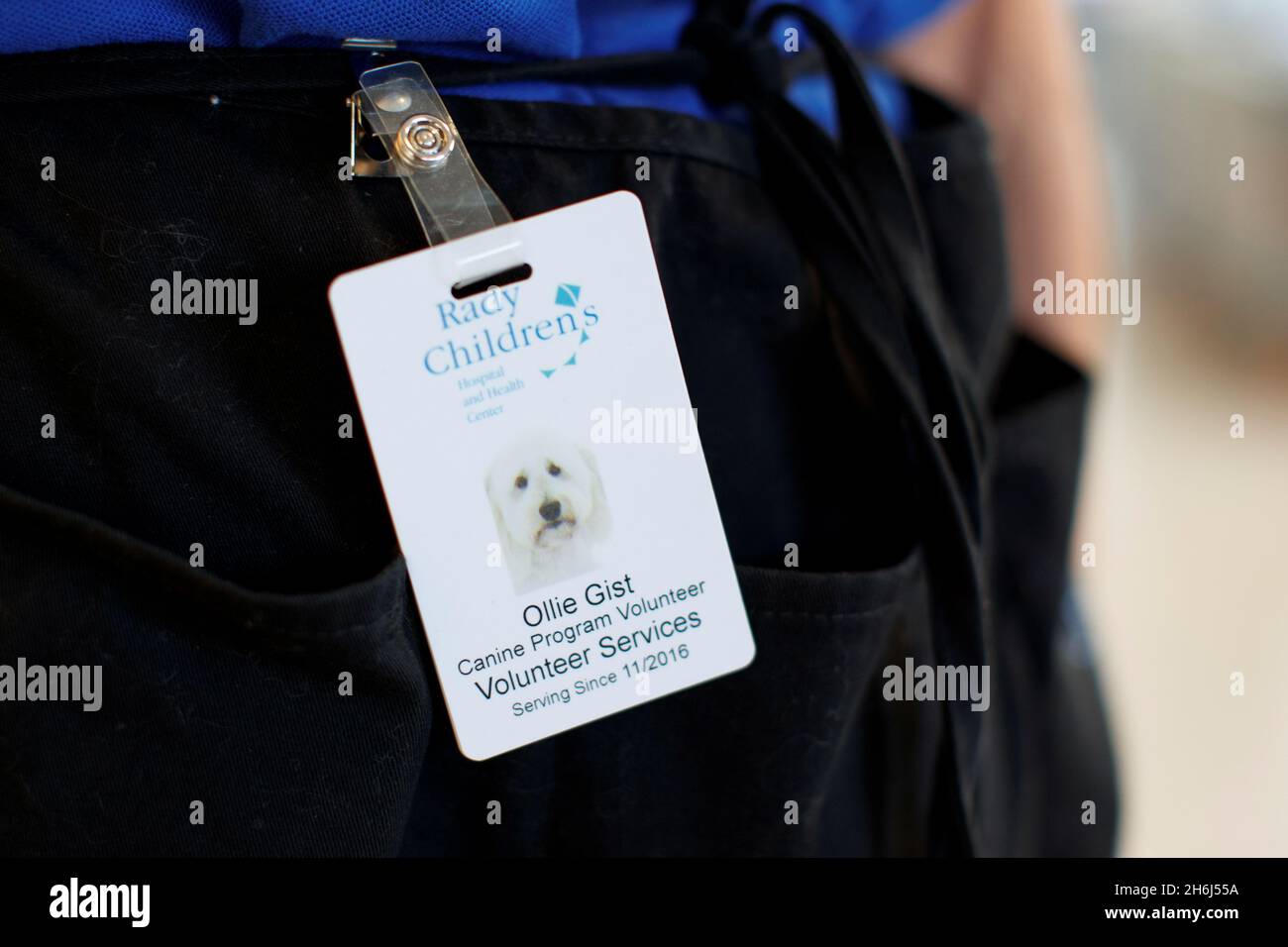 Resident Id Card San Diego