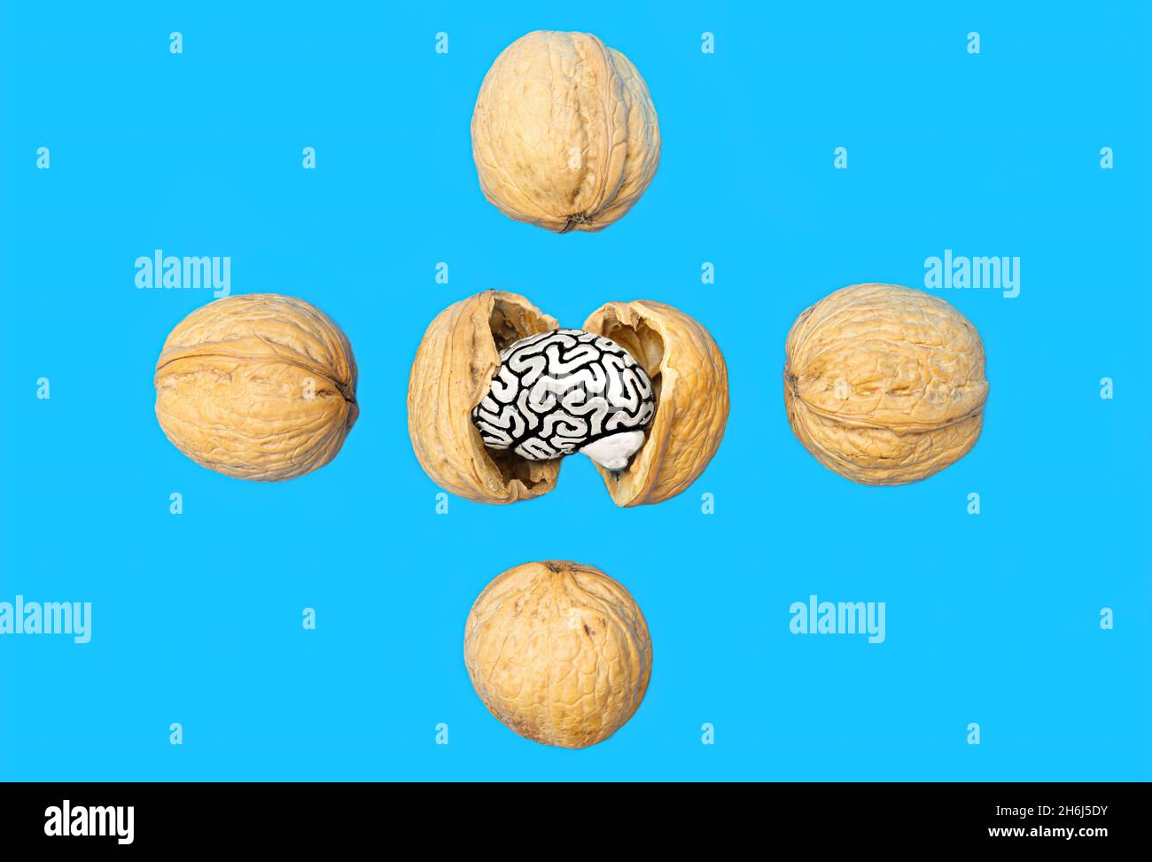 Walnuts and a miniature human brain in a nutshell isolated on a blue