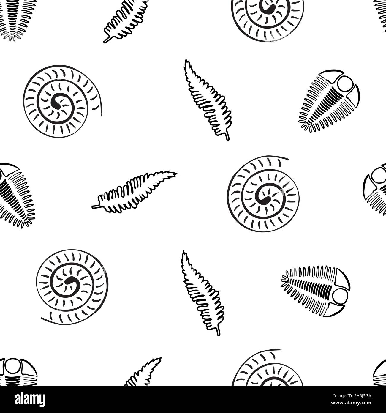 Ammonite trilobite fern vector seamless pattern background. Hand drawn ...