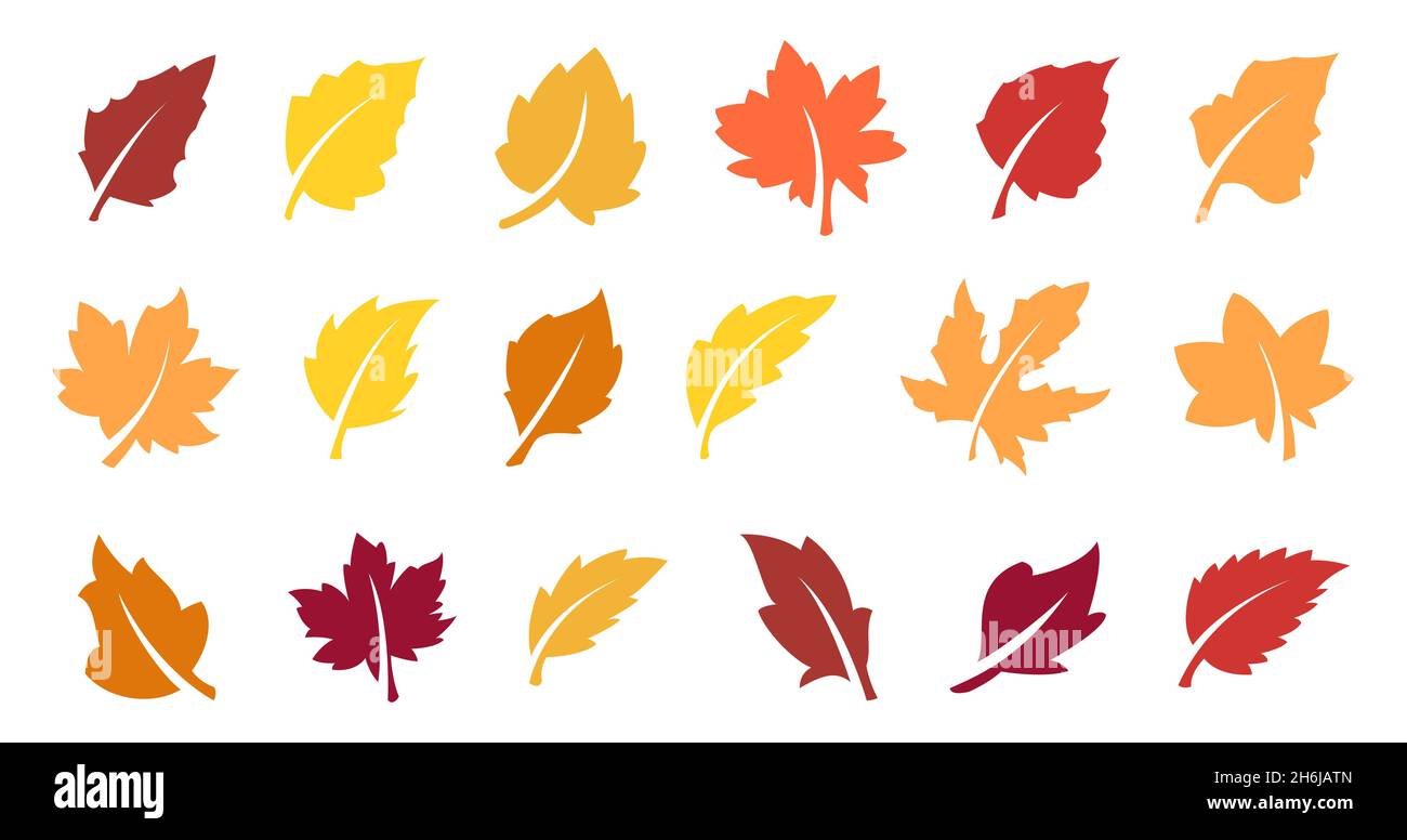 Autumn leaves set Stock Vector Image & Art - Alamy