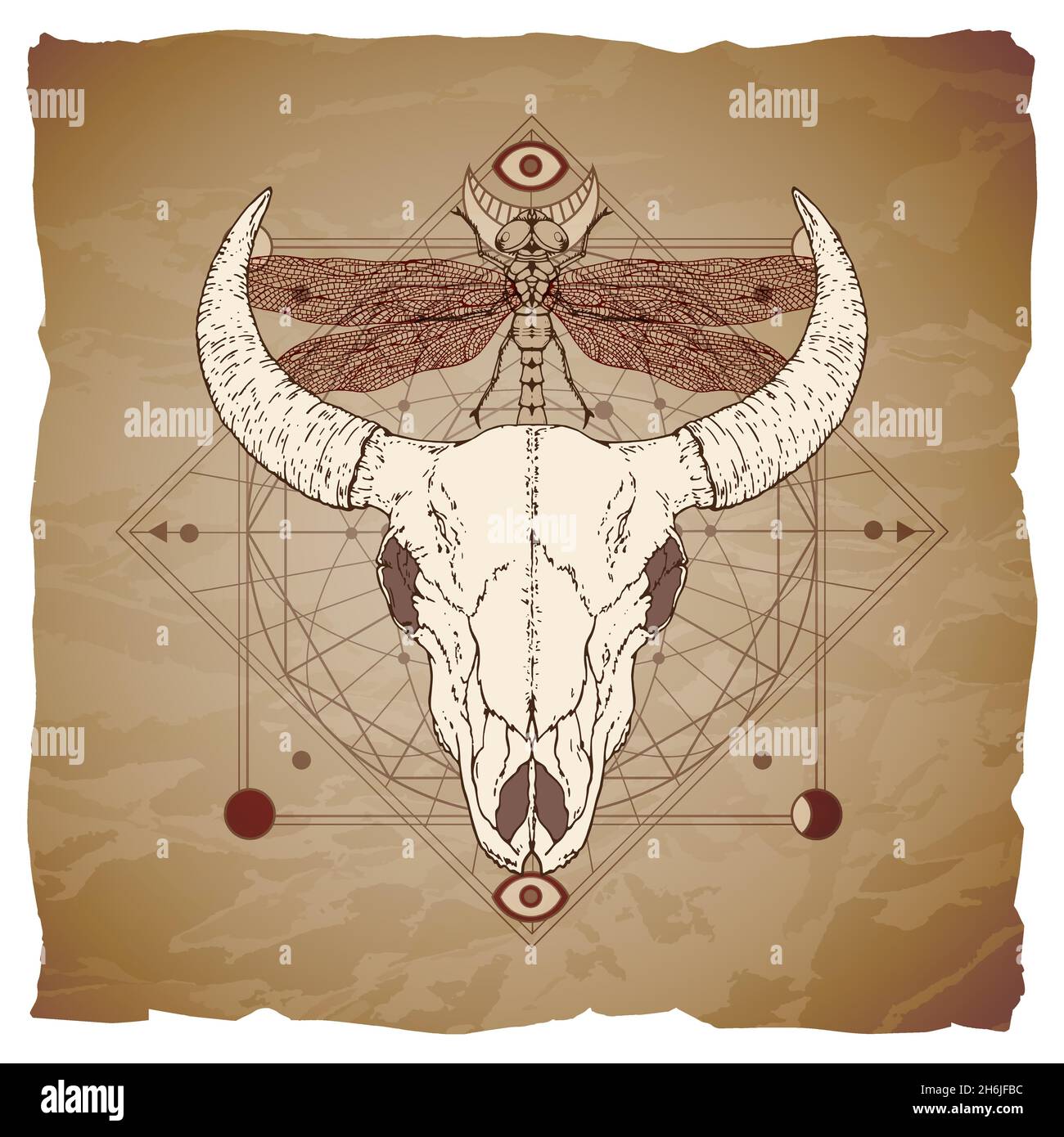 Vector illustration with hand drawn bull skull, dragonfly and Sacred geometric symbol on vintage paper background with torn edges. Abstract mystic sig Stock Vector