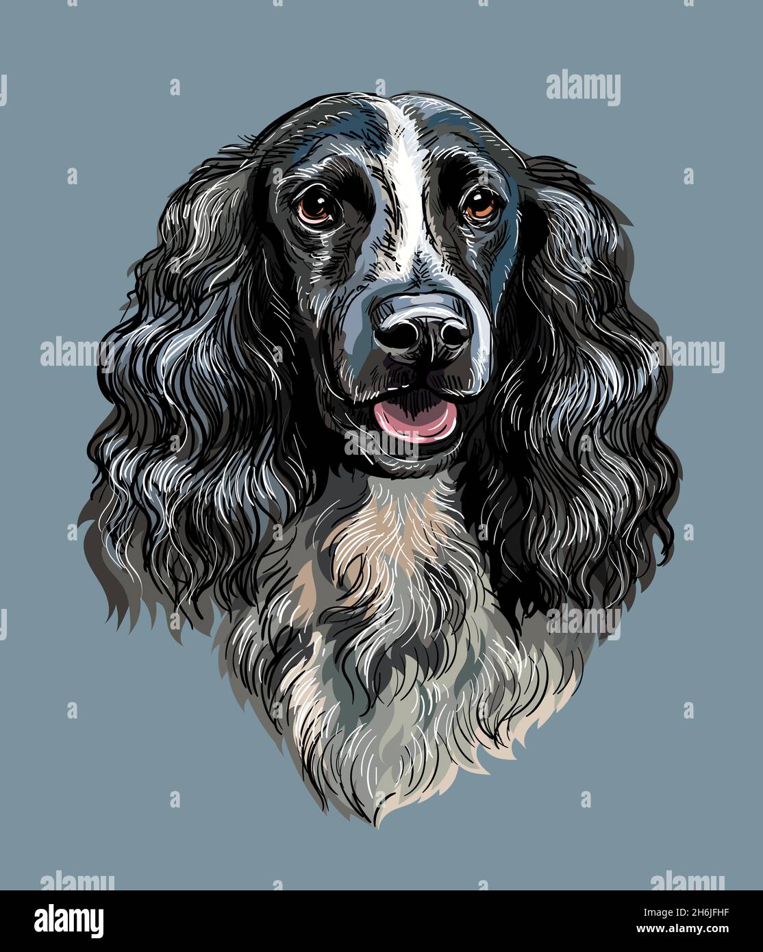 Russian spaniel dog 2025