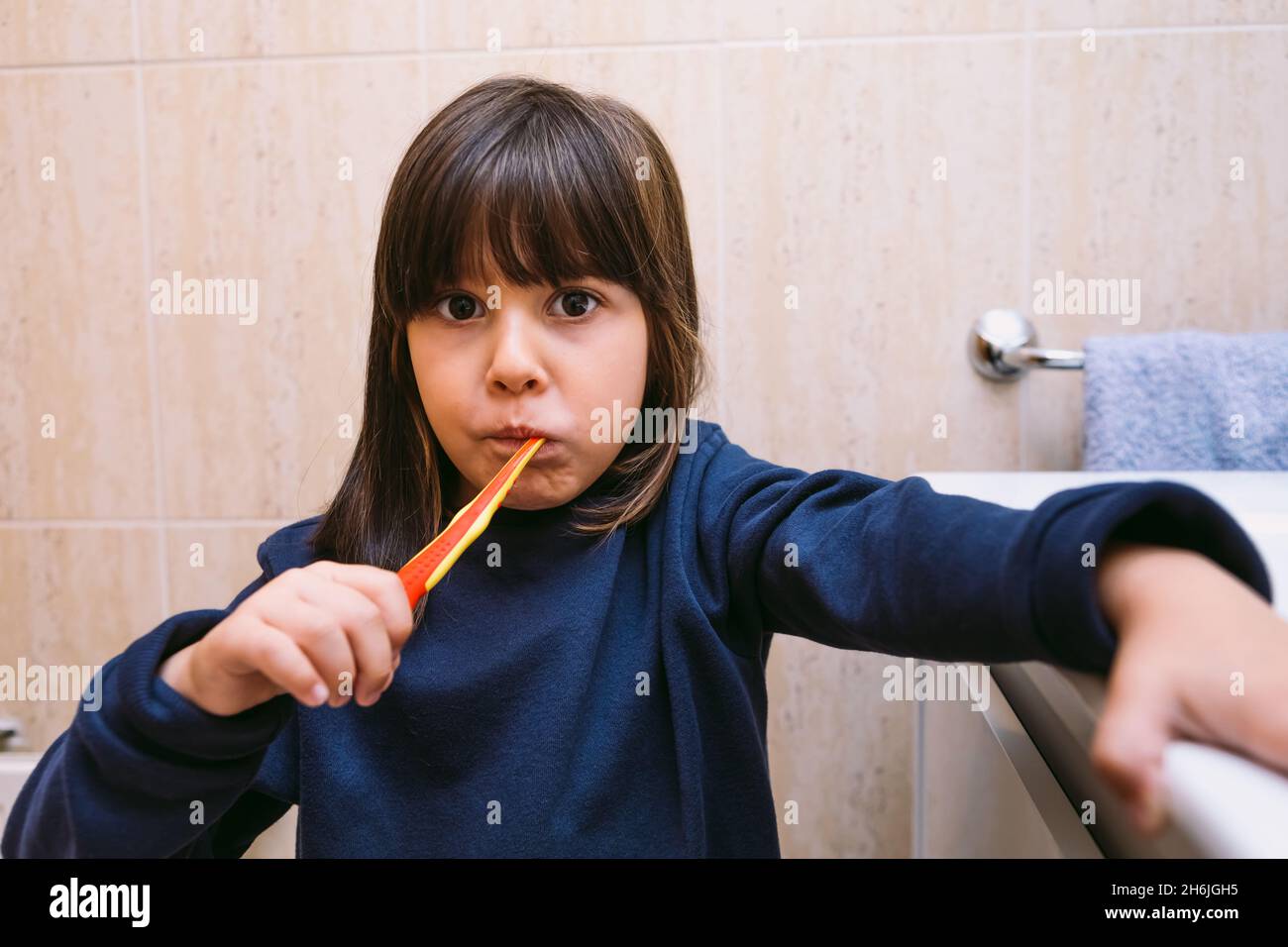 Little girl in dark blue sweatshirt, brushing her teeth, in the bathroom. Tooth brushing, hygiene and childhood concept. Stock Photo