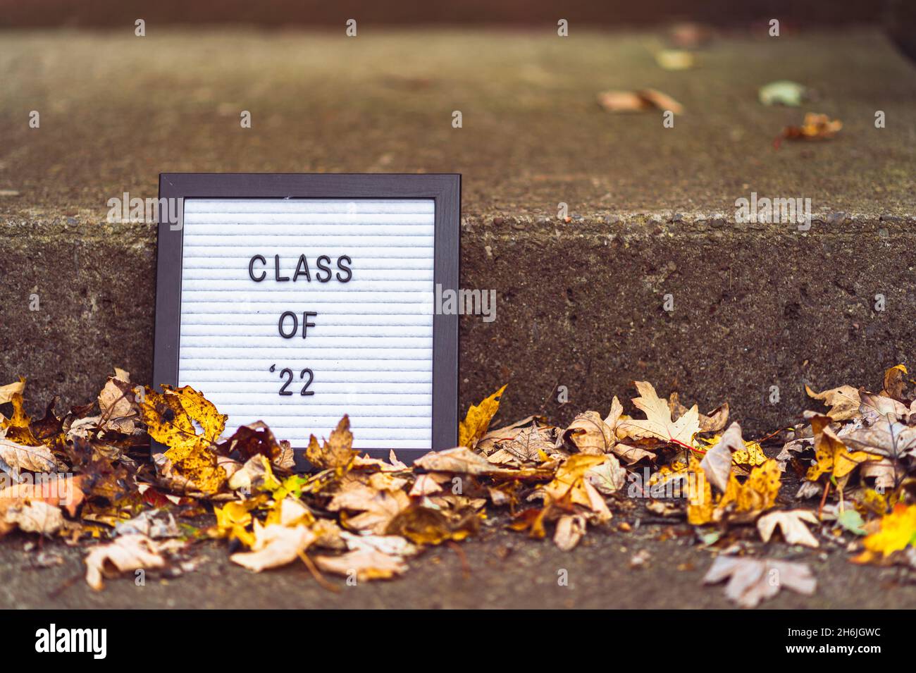 Class of 22 texts on a whiteboard with yellow leaves around Stock Photo