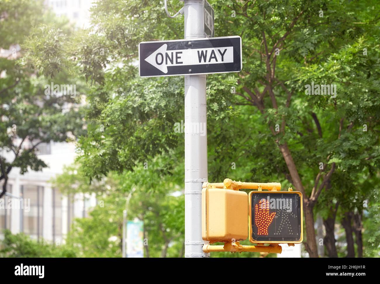 One Way traffic sign and pedestrian signal, selective focus, New York City, USA. Stock Photo