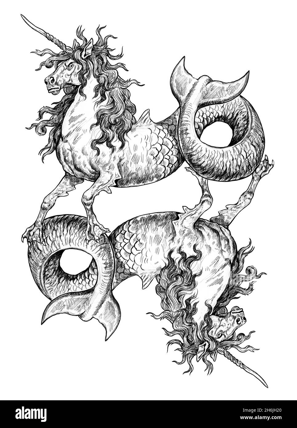 Mystical seahorse unicorn. Underwater creature. Fantasy drawing. Stock Photo
