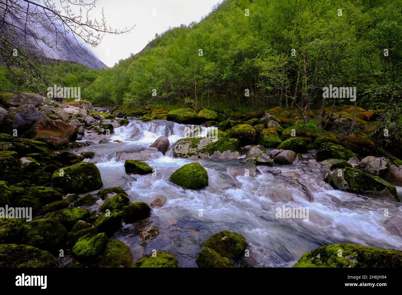 Cold water flows through a brook from the Briksdal glacier inside Jostedalsbreen National Park, Stryn, Vestland, Norway, Scandinavia, Europe Stock Photo