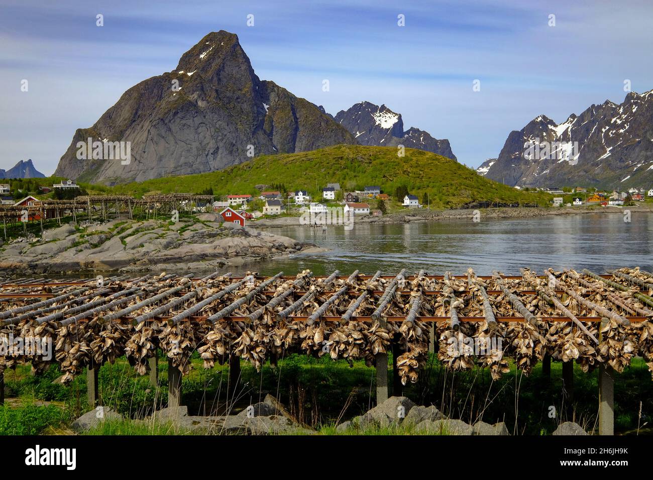 Cod (stockfish) hangs everywhere in the picturesque village of Reine, Lofoten Islands, Nordland, Norway, Scandinavia, Europe Stock Photo