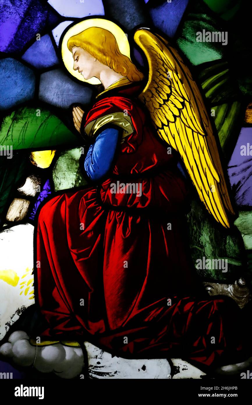 Angel in stained glass window, 16th century, Museum of the Milan Cathedral, Milan, Lombardy, Italy, Europe Stock Photo
