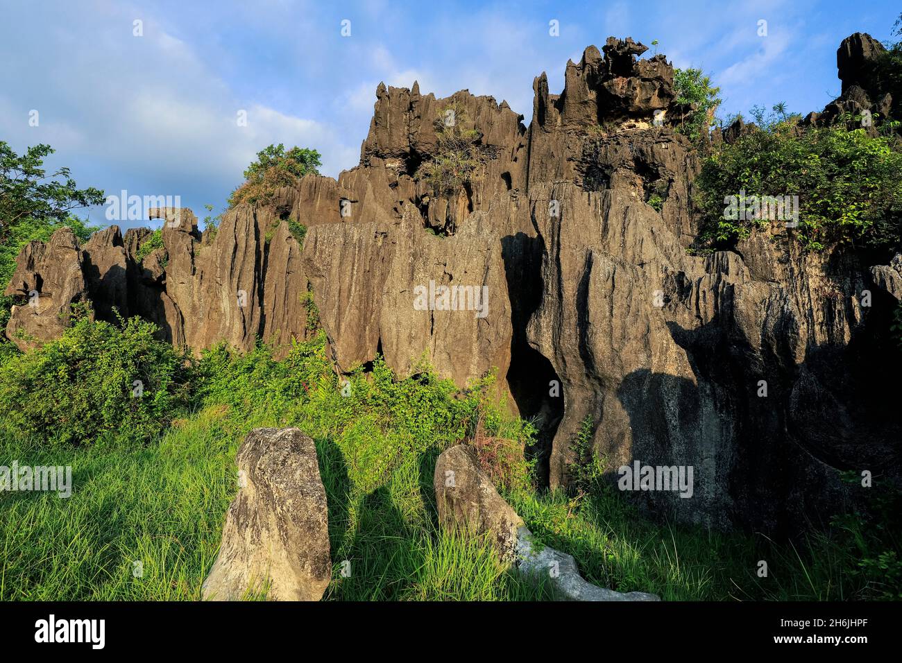 Limestone rock eroded and dissolved by water in karst region, Rammang-Rammang, Maros, South Sulawesi, Indonesia, Southeast Asia, Asia Stock Photo