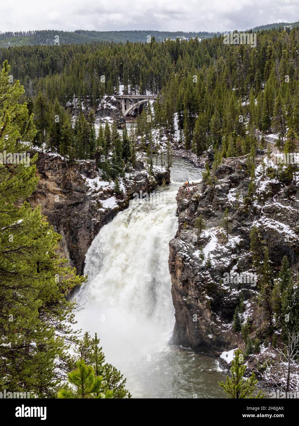 The upper Yellowstone Falls in the Yellowstone River, Yellowstone National Park, UNESCO World Heritage Site, Wyoming, United States of America Stock Photo
