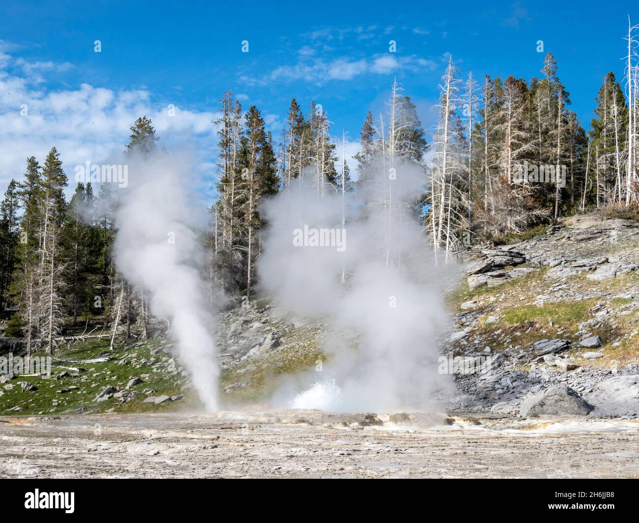 Grand Geyser, in the Norris Geyser Basin area, Yellowstone National Park, UNESCO World Heritage Site, Wyoming, United States of America Stock Photo