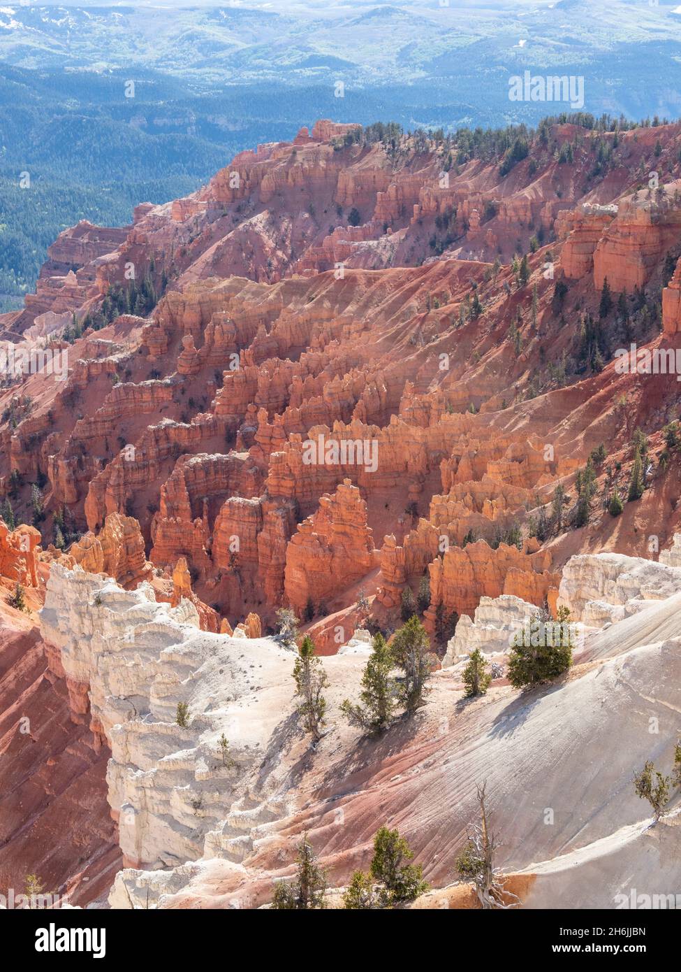 A view of the amphitheater from the rim at 10000 feet in Cedar Breaks National Monument, Utah, United States of America, North America Stock Photo