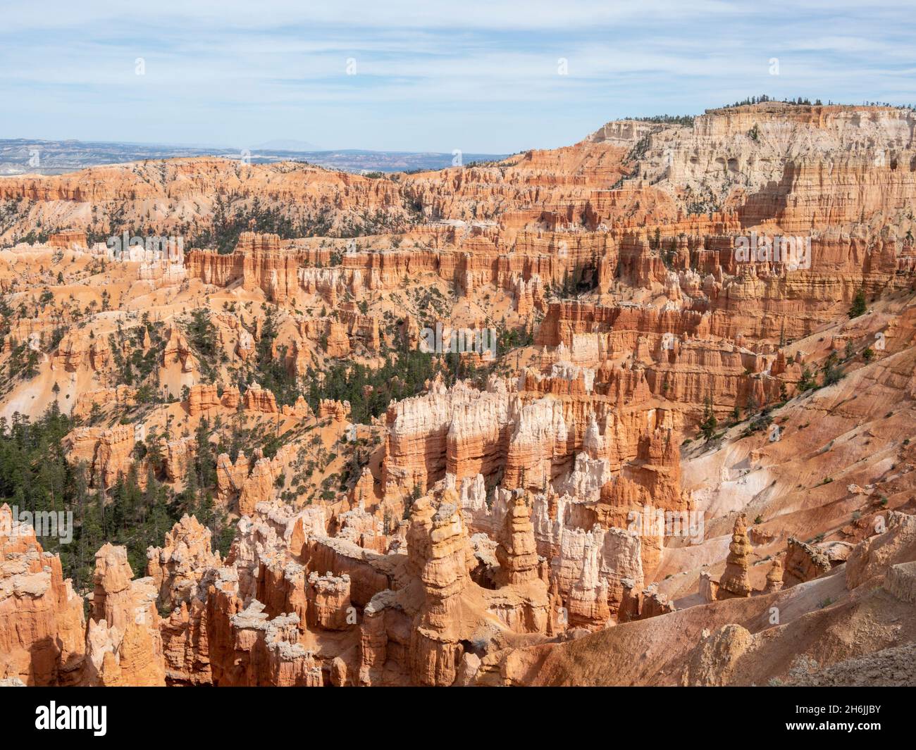 A view of the Bryce amphitheater from the rim at Bryce Canyon National Park, Utah, United States of America, North America Stock Photo