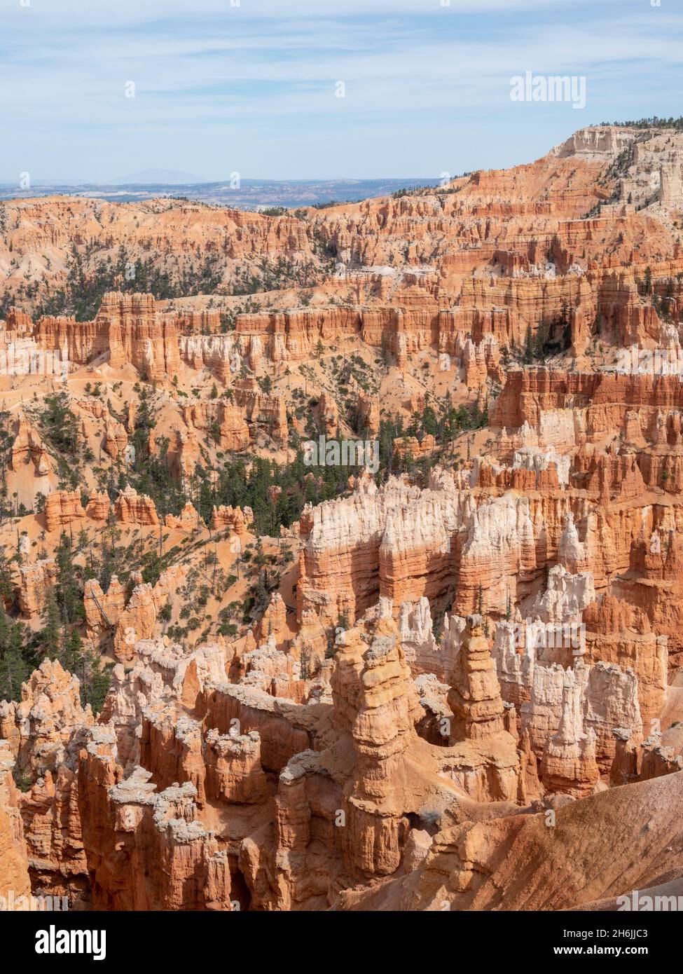 A view of the Bryce amphitheater from the rim at Bryce Canyon National Park, Utah, United States of America, North America Stock Photo