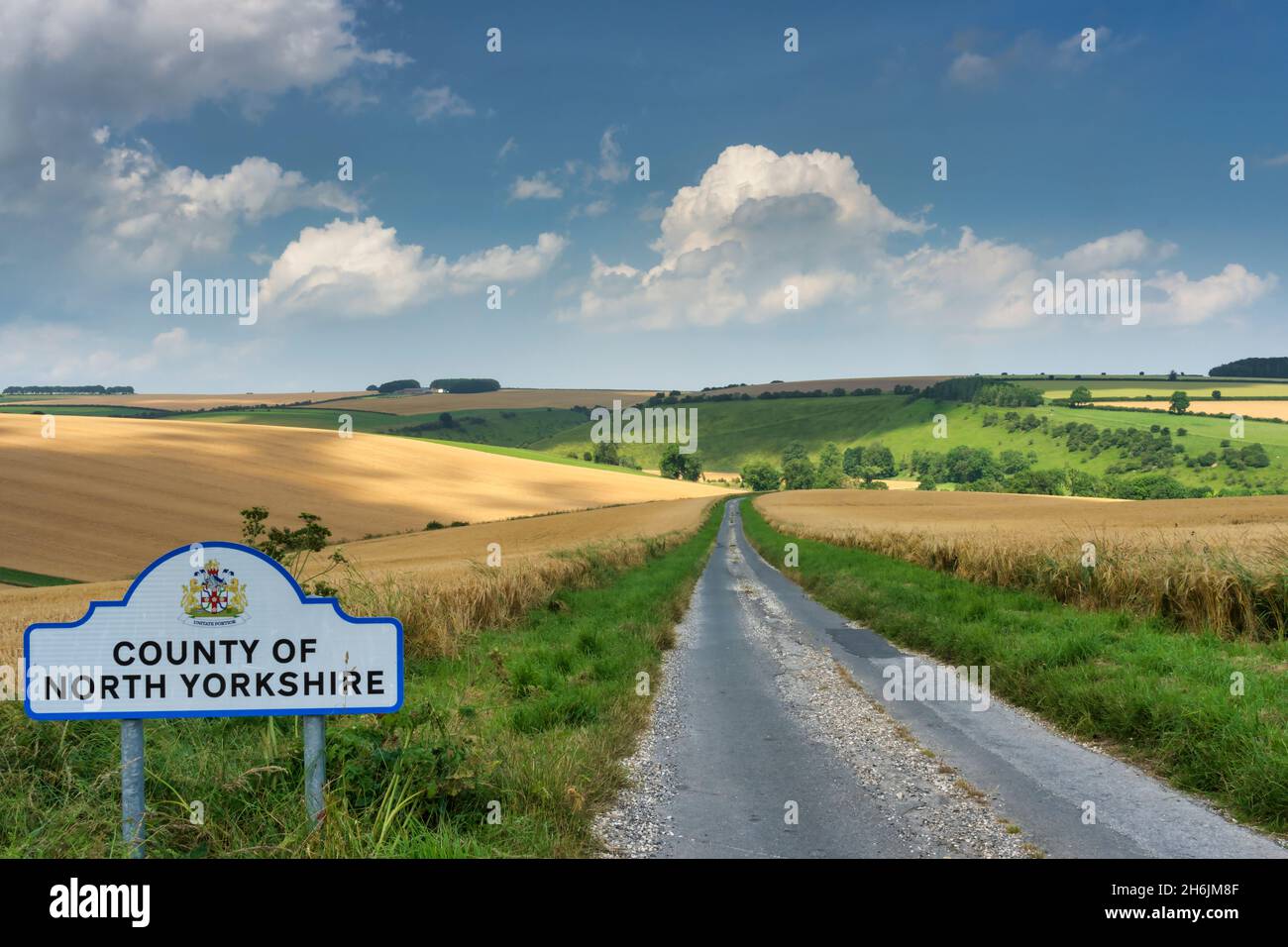 Corn fields and rolling chalk hills in mid-summer sunshine near Fridaythorpe on the East Yorkshire Wolds, Yorkshire, England, United Kingdom, Europe Stock Photo