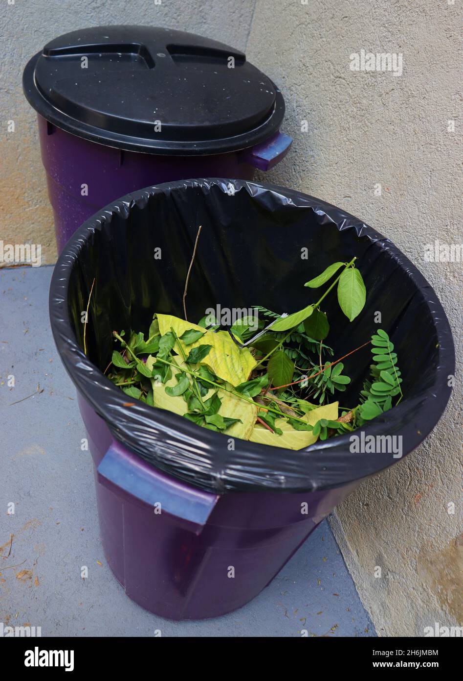 Two bins one closed and the other one opened, showing plant pruning