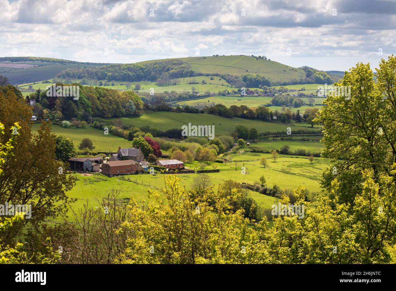 View from Shaftesbury over Cranborne Chase AONB (Area of Outstanding Natural Beauty) scenery to Melbury Beacon, Shaftesbury, Dorset, England Stock Photo