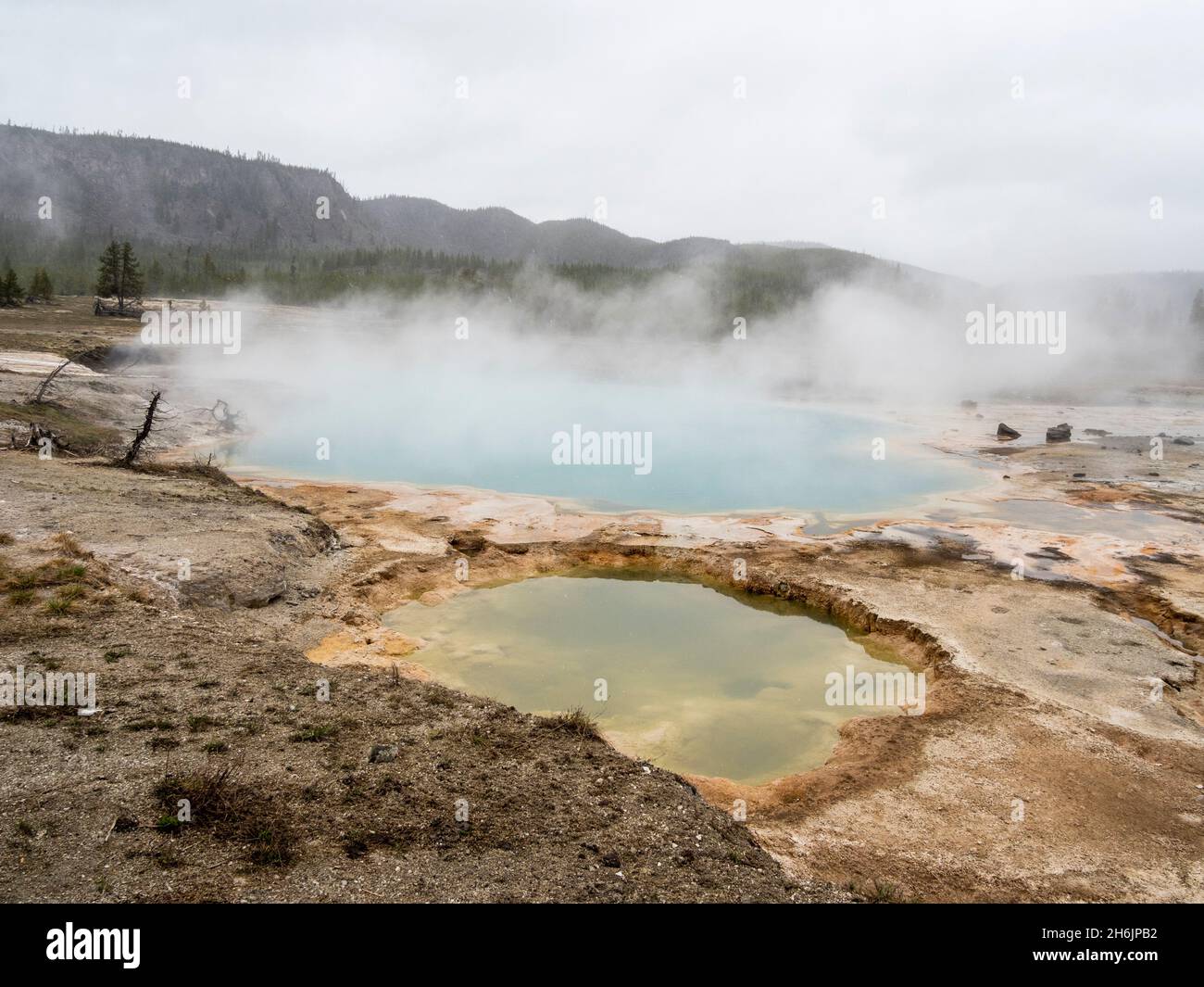 Geothermal mud pot in Biscuit Basin in Yellowstone National Park, UNESCO World Heritage Site, Wyoming, United States of America, North America Stock Photo