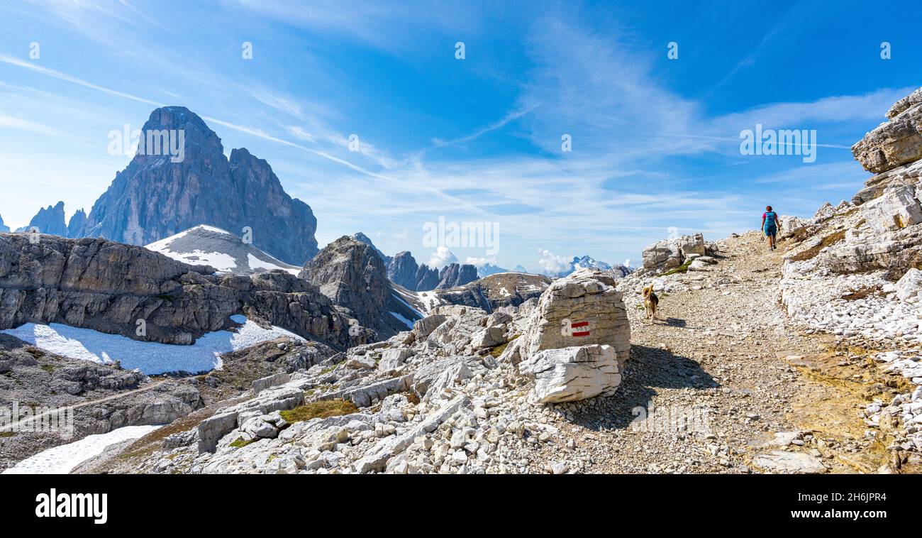 Hiker woman with dog walking on path to the majestic mountain Croda dei Toni in summer, Sesto Dolomites, South Tyrol, Italy, Europe Stock Photo