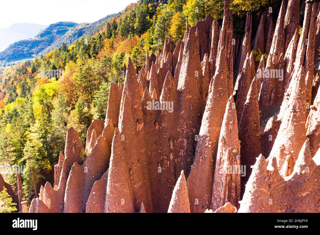 Spiked rocks of the earth pyramids in autumn, Longomoso, Renon (Ritten, Bolzano, South Tyrol, Italy, Europe Stock Photo
