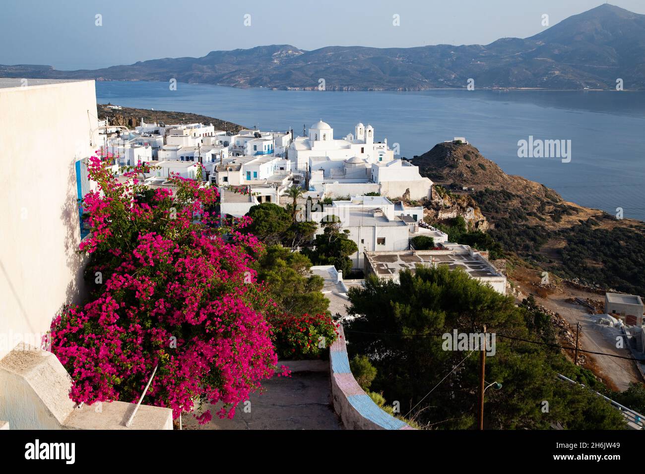Old white town of Plaka and Milos Bay with colourful bougainvillea