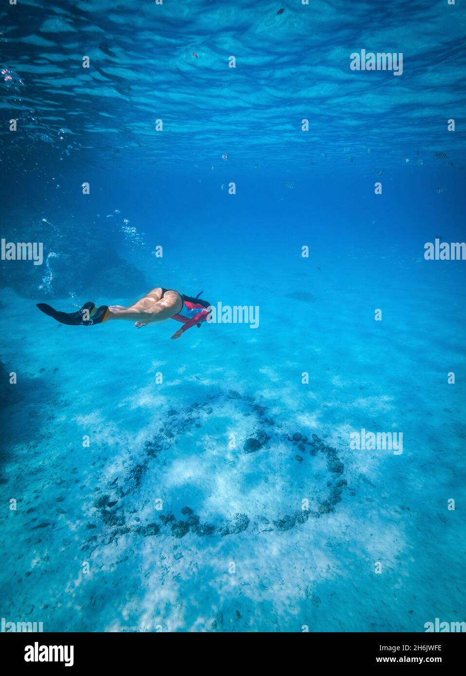 An athletic woman free-dives to inspect a heart arranged with rocks on the bottom of the ocean, French Polynesia, South Pacific islands, Pacific Stock Photo