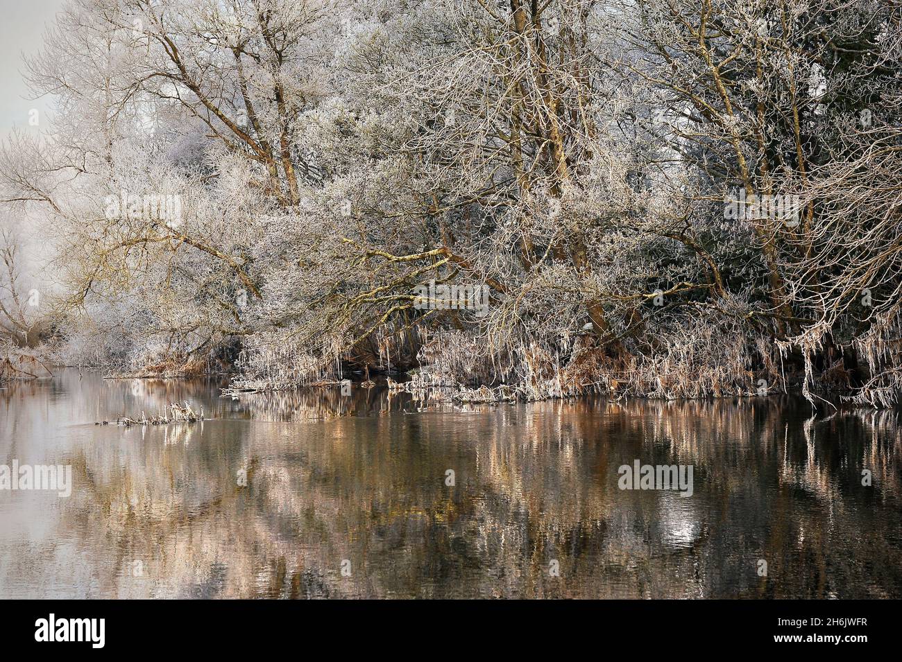 Frosted trees reflected in a calm river on a cloudy morning in County Galway, Connacht, Republic of Ireland, Europe Stock Photo