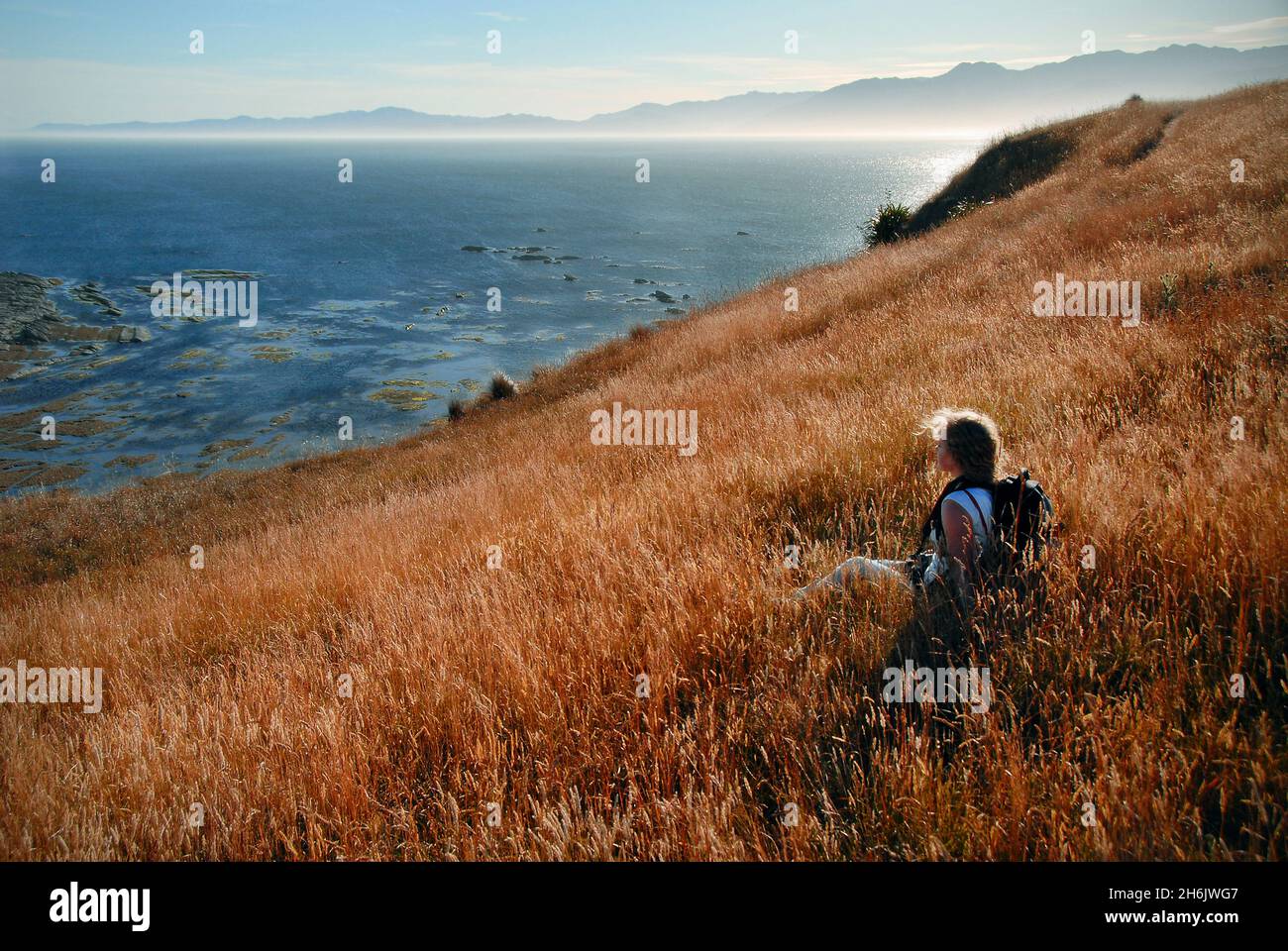A young woman hiker rests in a wild grass field on the coast of New Zealand's Kaikoura Peninsula, Canterbury Region, South Island, New Zealand Stock Photo
