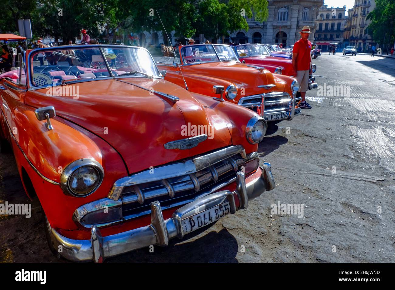 Classic vintage cars as taxis lined up awaiting fares, Havana, Cuba, West Indies, Central America Stock Photo