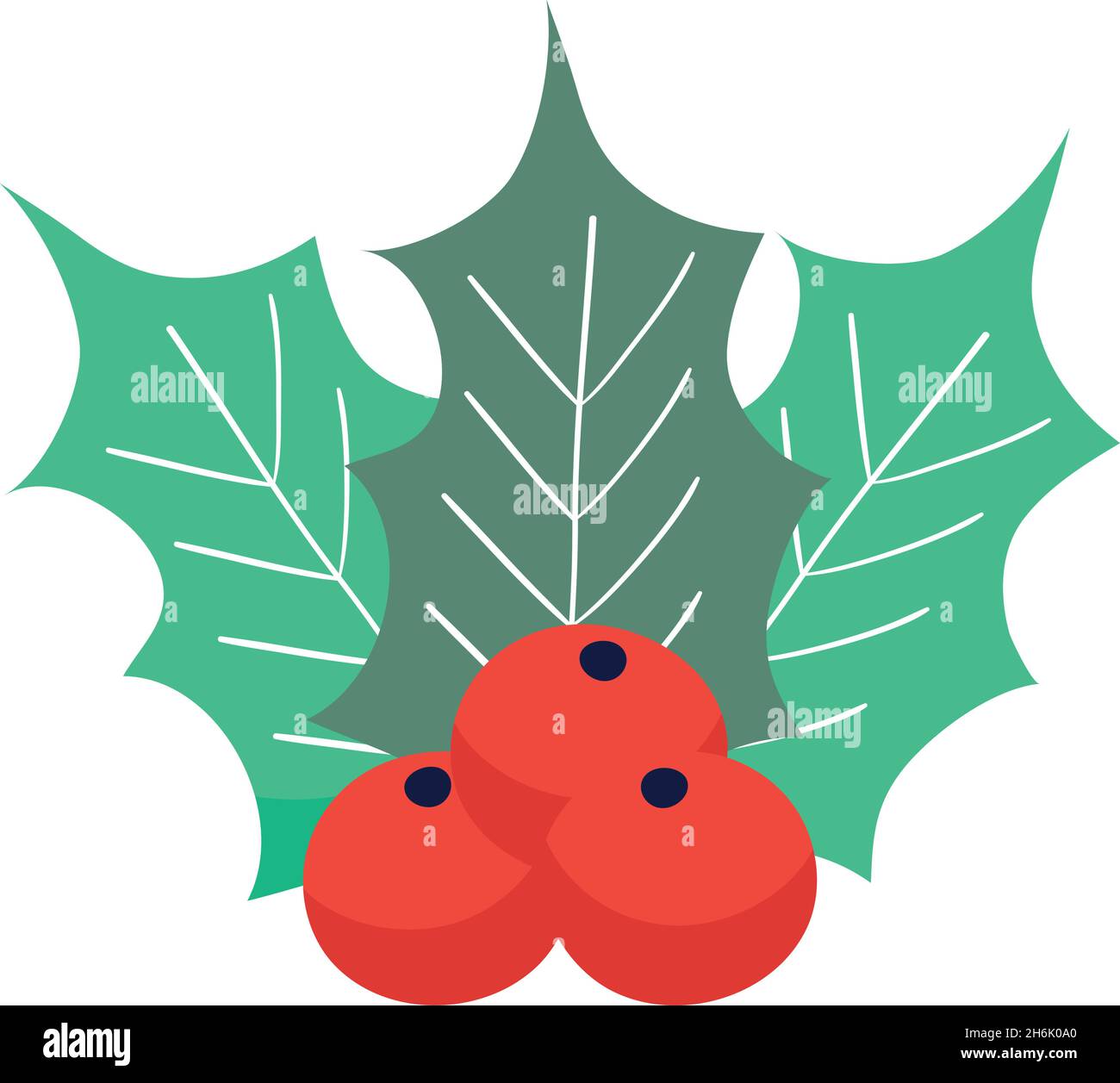 holly berry icon on white background Stock Vector Image & Art - Alamy