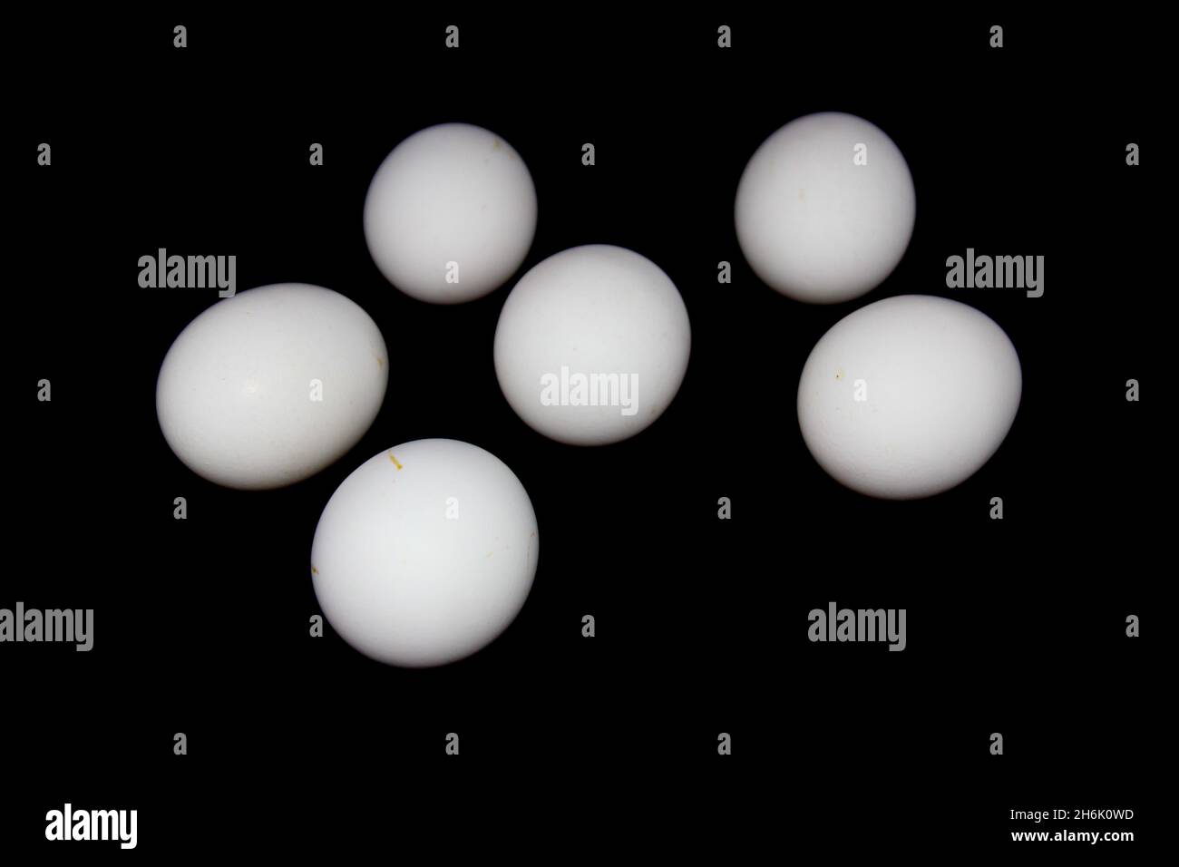 Eggs on black background with selective focus Stock Photo