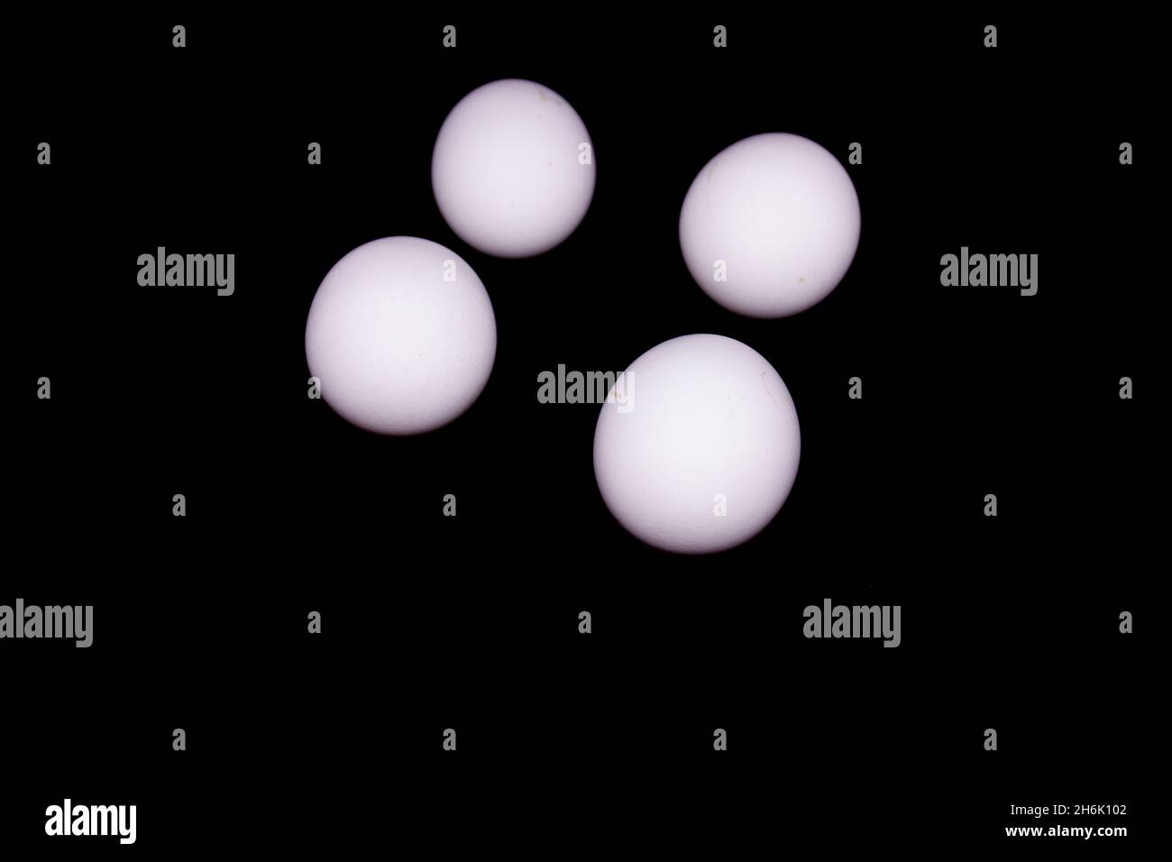 Eggs on black background with selective focus Stock Photo