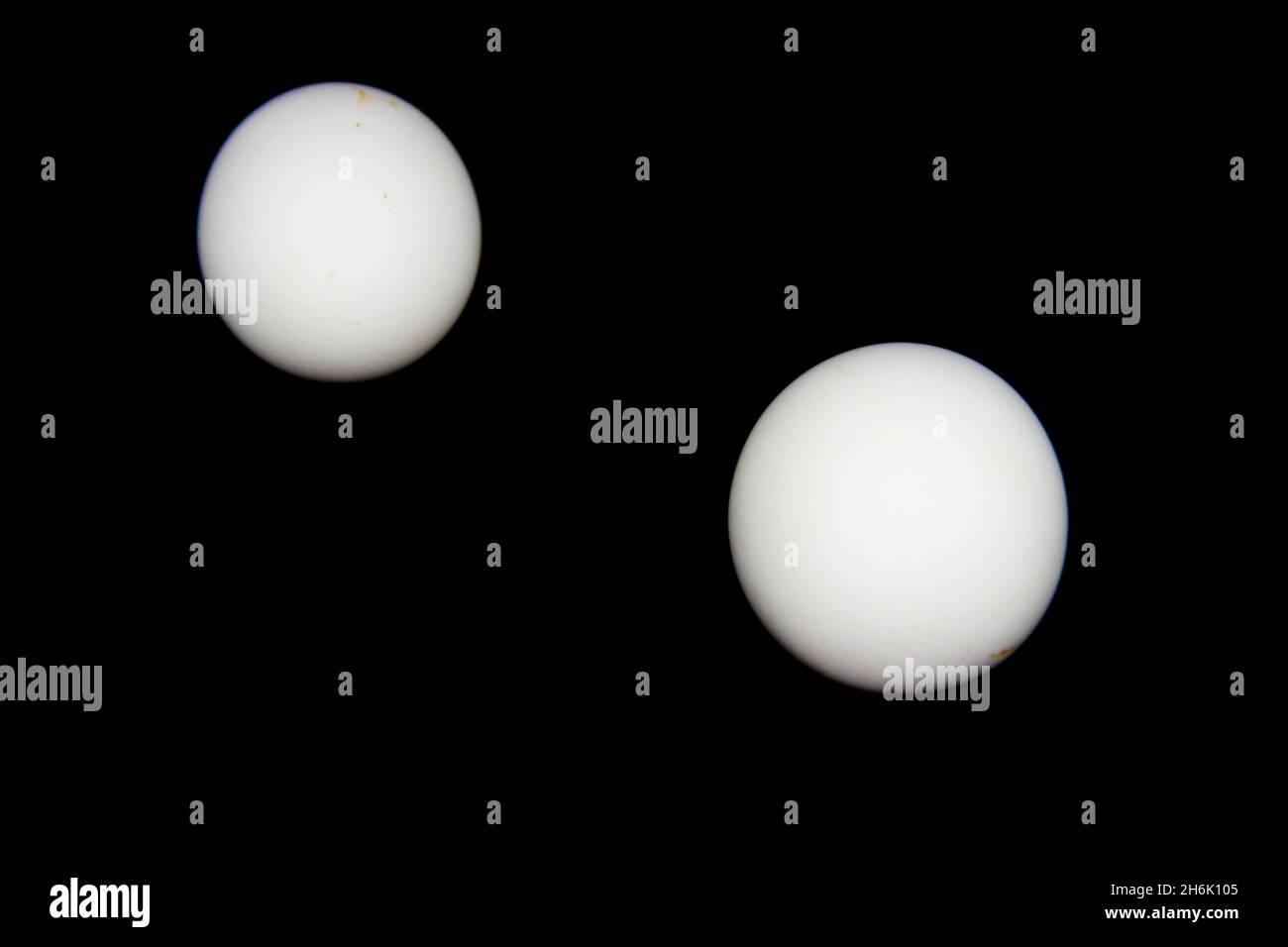 Eggs on black background with selective focus Stock Photo