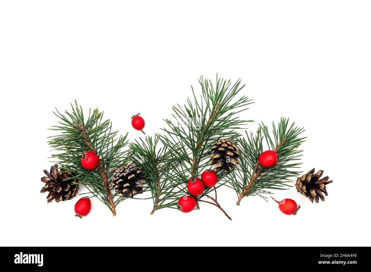 Christmas Sprigs of Pine Needle Bulbs Red Berries Invitation