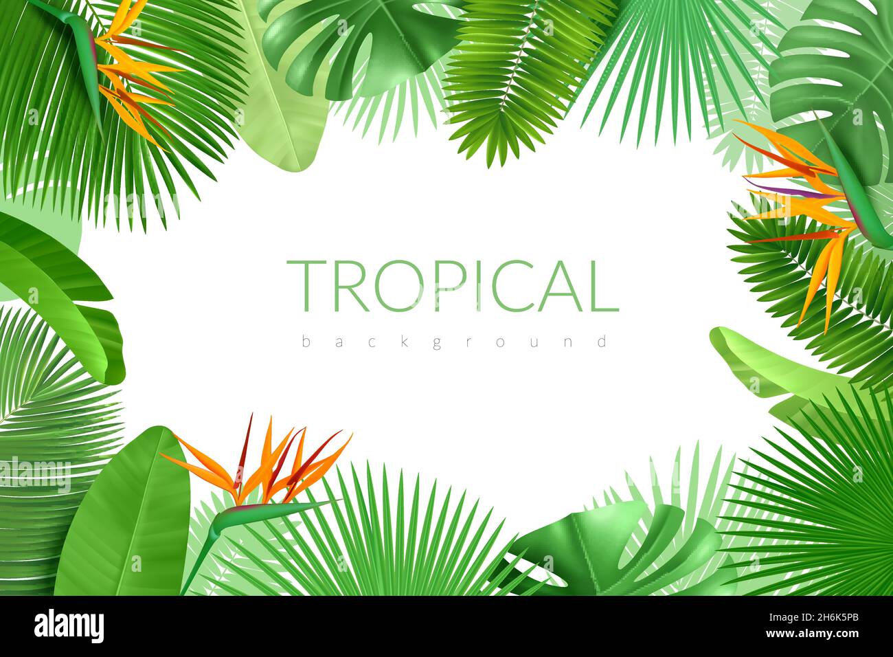 Tropical leaves frame. Realistic summer exotic plants, hawaiian palm ...
