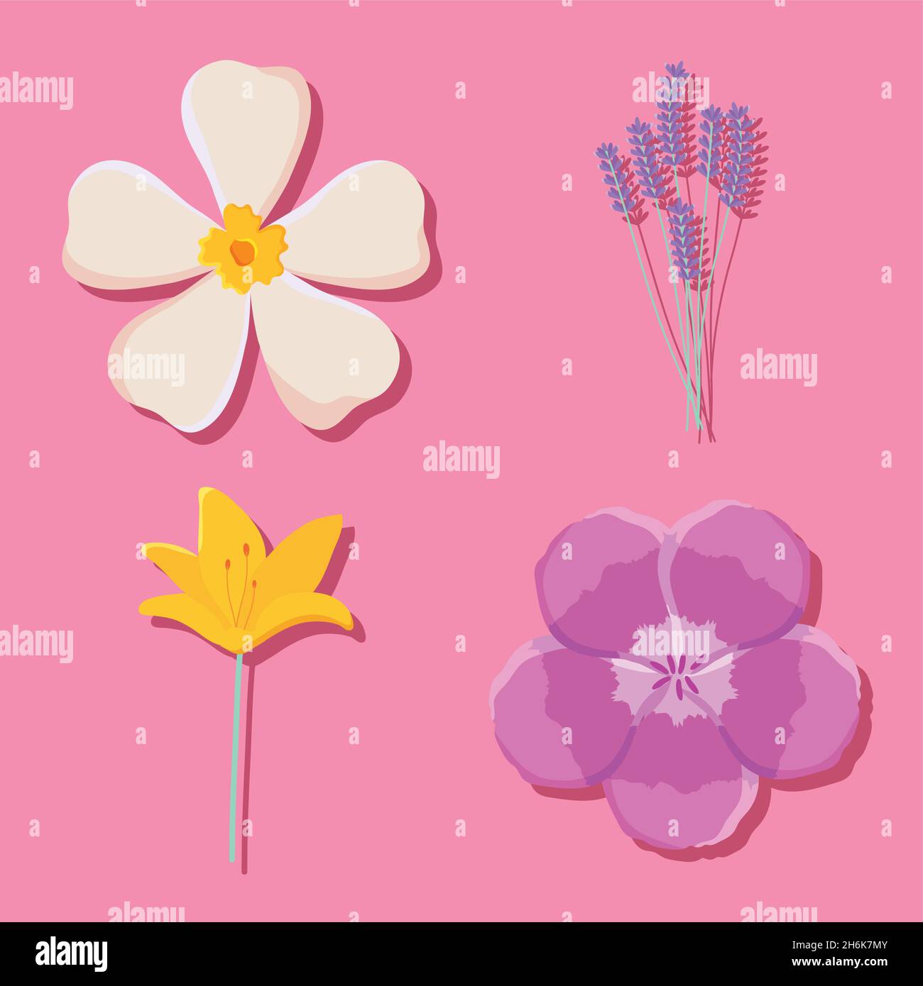 beautiful flowers icon set design Stock Vector Image & Art - Alamy