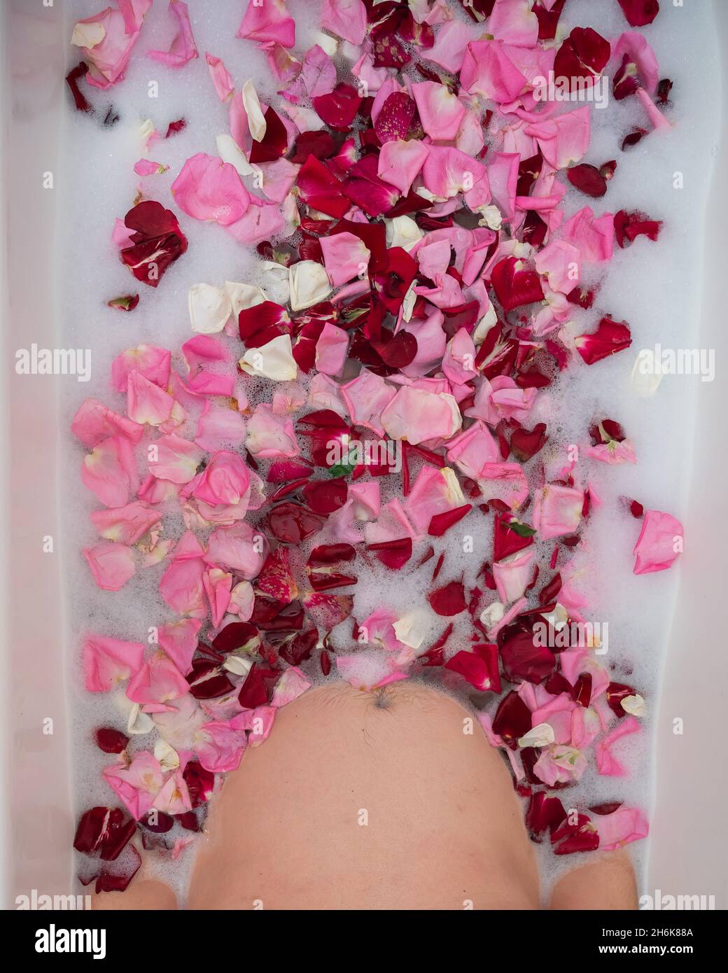 Bath Water with Rose Petals Stock Image - Image of perfume, care: 32057587