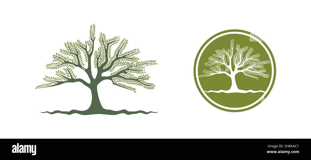 A Vector Illustration set of Olive Green Tree Leaf Vector Sign Stock Vector