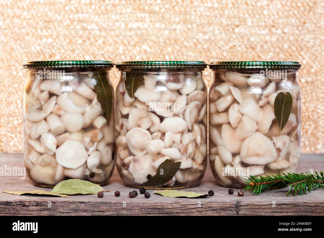 Homemade preserving. Marinated Suillus mushrooms in glass jars with metal lids Stock Photo