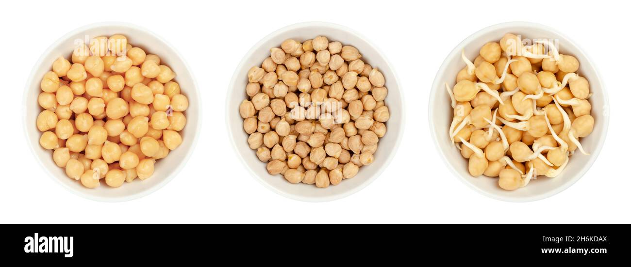 Boiled, dried and sprouted chickpeas, in white bowls. Cooked, raw and germinated chick peas, high in protein seeds of Cicer arietinum, a legume. Stock Photo
