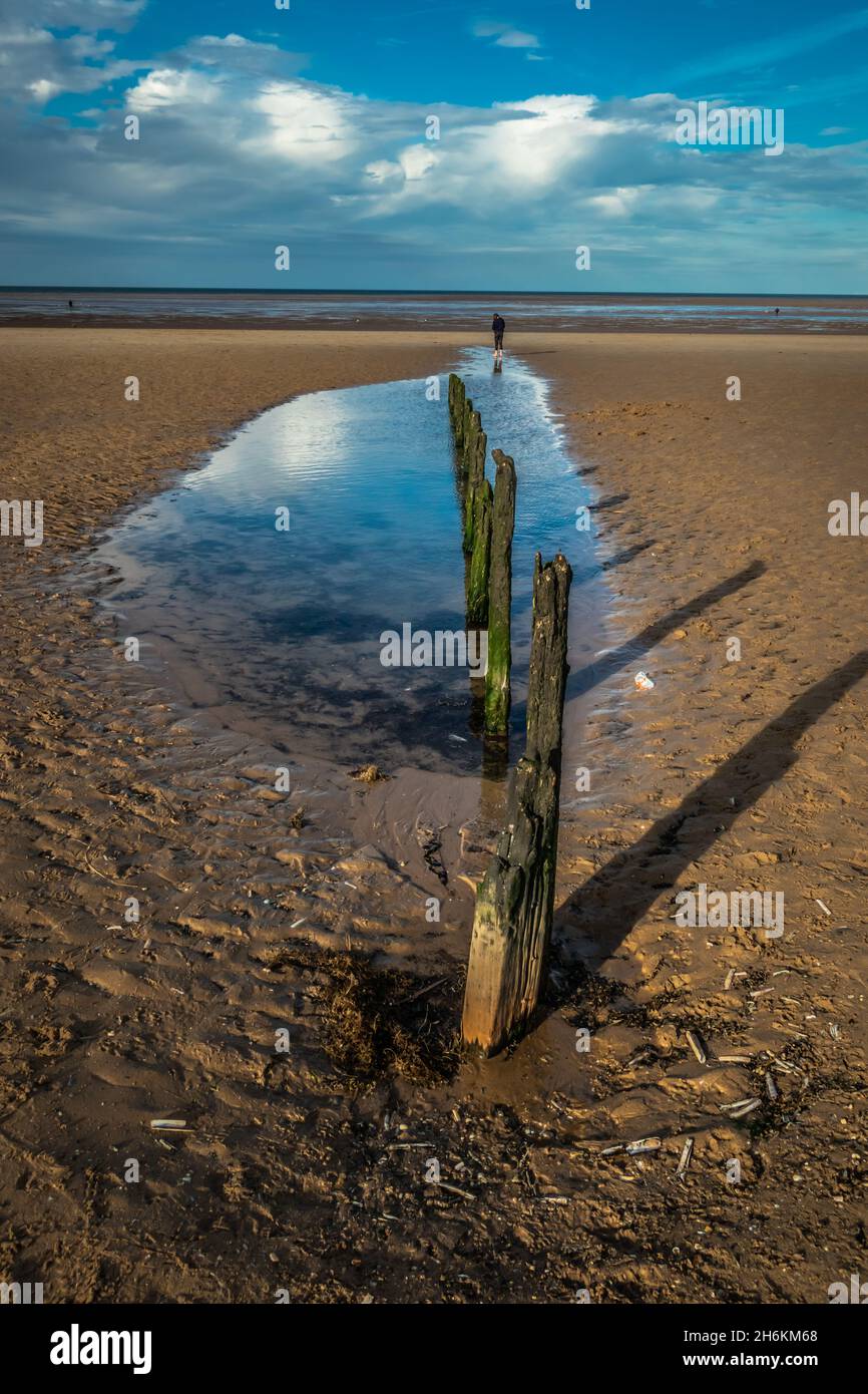 Old wooden posts groyns with seawater pools at their base with child playing in distance at Brancaster Beach North Norfolk England Stock Photo