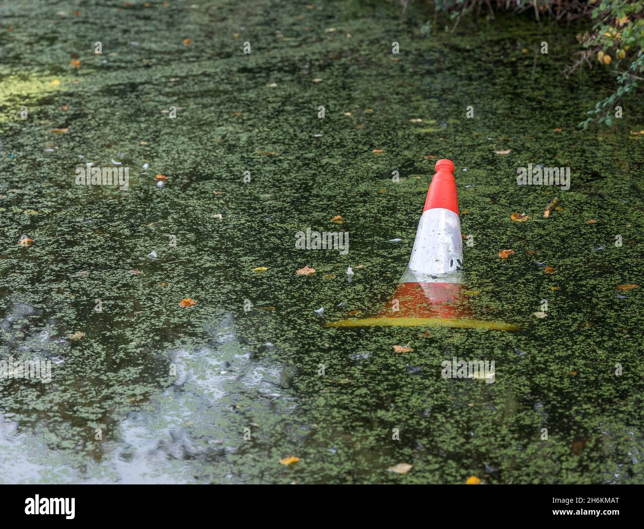 Red and white traffic cone floating in water with pond vegetation Stock Photo